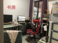 其它图