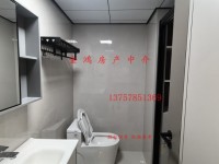 其它图