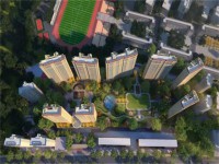 其它图