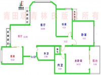 其它图