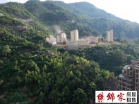 其它图