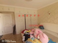 其它图
