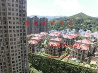 其它图