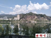 其它图