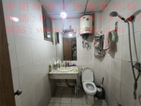 其它图