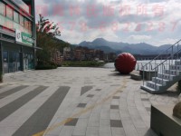 其它图