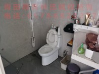 其它图