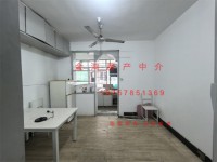 其它图