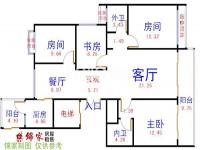 其它图
