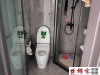 其它图