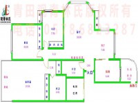 其它图
