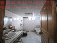 其它图