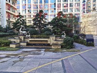 其它图