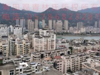 其它图