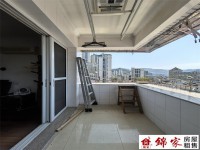 其它图