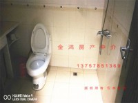 其它图