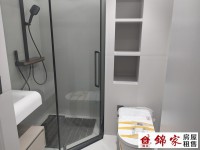 其它图
