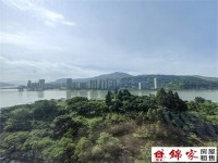 高湾绿园